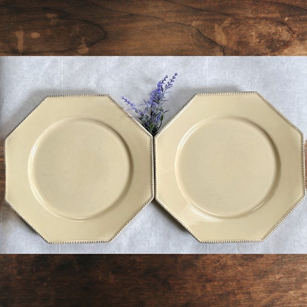 Costa Nova Fine Stoneware Pearl Cream Octagonal Beaded Rim 11” Dinner Plates (2)